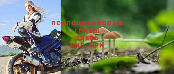 PSILOCYBIN Кодинск
