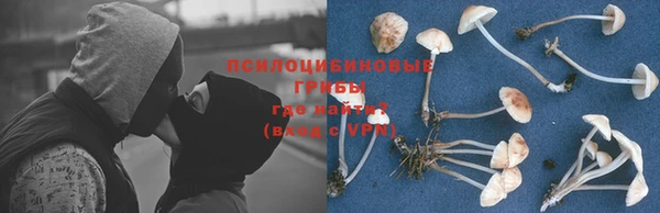 PSILOCYBIN Кодинск