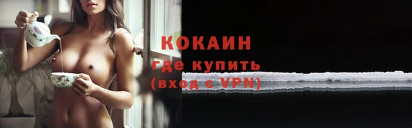 PSILOCYBIN Кодинск
