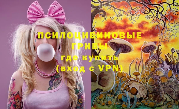 PSILOCYBIN Кодинск