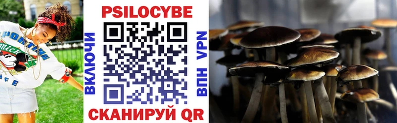 Галлюциногенные грибы мухоморы  купить   hydra сайт  Пенза 